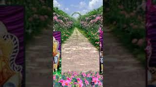 moungshhttps://m.youtube.com/watch?v=irzOMH7GcnQ? Dido - Thank You (Acoustic)