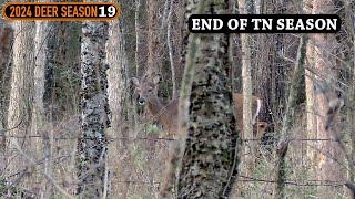 3 DAYS LEFT - Public Land Doe Hunting