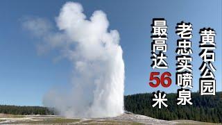 老忠实喷泉Old Faithful，黄石公园中最著名的热喷泉--美国中西部自驾游20天（6）