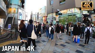 【4K HDR】Harajuku Window Shopping - Tokyo, Japan