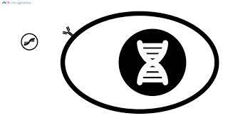Intro to viruses | Merogenomics
