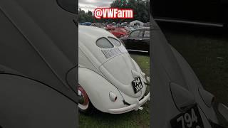 VW Beetle 1951 Splitscreen at VW Festival show #VWFarm #shorts #VW #Beetle #bug #classic #carshow