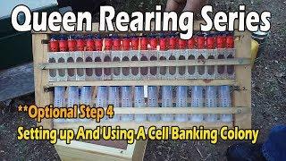 How To Setup A Queen Banking Colony..(Optional Video 4) JC's Queen Rearing Series