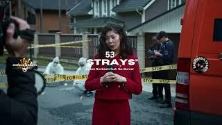 Strays - Knock Rio Beats feat Ike-Burner  off the album "53"