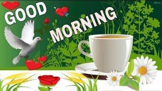 Good Morning, Have a beautiful and blessed Monday, Monday wishes, quotes, sms, whatsapp status