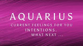 AQUARIUS YEARNING FOR YOU … Nov 2024