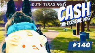 French Bulldog Daily Walking Cash Archivaldo #140