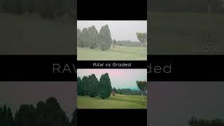 raw vs graded footage of my favourite.