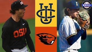 #12 UC Irvine vs #11 Oregon State (Full Series Highlights) | 2025 College Baseball Highlights
