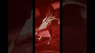 When the bride says to make pre-wedding into music video #trending #trendingmusic #prewedding
