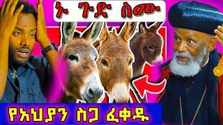 ጉድ ነው ! የአህያ ስጋ ብሉ ችግር የለዉም አሉ!! #ethiopian #ortodox #eritrea @nsiebho