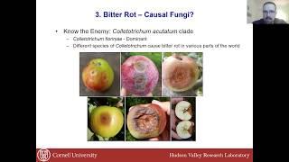 Controlling Fruit Rots and Other Summer Diseases