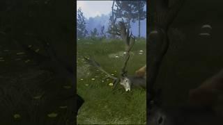 MAX Weight 270+ Red Deer  Diamond , theHunter Call of the Wild #shorts