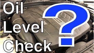 Step-by-Step Guide: Checking Your BMW's Oil Level the Right Way.