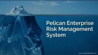 Introduction to Pelican IRM, by Vose Software