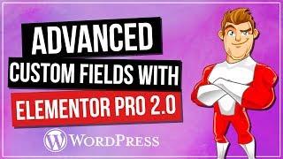 Advanced Custom Fields (ACF) & Elementor Pro 2.0