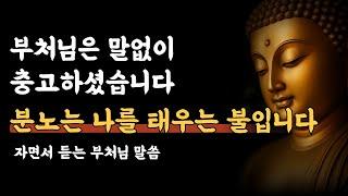 부처님은 말없이 충고하셨습니다. 분노는 나를 태우는 불입니다 ㅣ부처님 말씀ㅣ석가모니 가르침ㅣ불교 명언