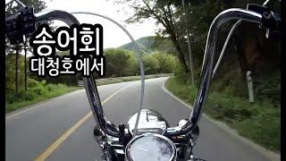 모터사이클 타고 송어회 길바닥 먹방 FT 대청호