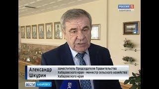 Развитие сельских территорий