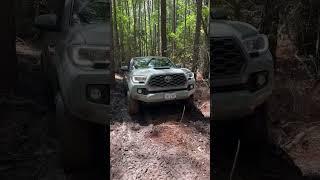 Stock #toyota Tacoma digs itself out of deep ruts on trail. #tacoma