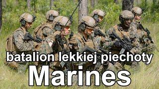 Batalion lekkiej piechoty na przykładzie USMC