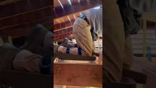 #standard #kneeler #TKC #Extreme #crawler #under #pressure #fun #play #in #attic #home #work #time