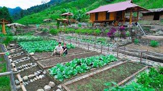 Living Off the Grid Harvesting Vegetables, Cucumbers to Sell at Market, Smoked Pork, and Flooding