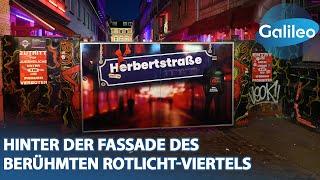 Menschen, Mythos, Reeperbahn: Hinter der Fassade des berühmten Rotlicht-Viertels