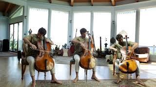 Georgy Gusev - Starlings Over Rome - Cello Trio ft. MA-100 and MA-1000 Microphones
