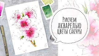 Рисуем АКВАРЕЛЬЮ цветы сакуры |  скетч за 30 минут