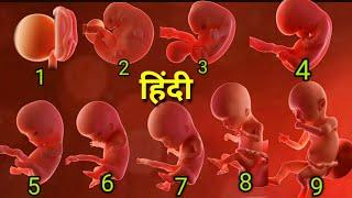 1 to 9 months baby development in hindi,1 to 9 months pregnant baby size in hindi,1 to 9 months baby