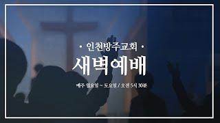 [새벽예배 | 임창수 목사] 히브리서 8장 1-13절 | 2024. 12. 28