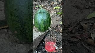 Survival Skills: single mom make Watermelon Juice Fruit #survival #camping #bushcraft #outdoor