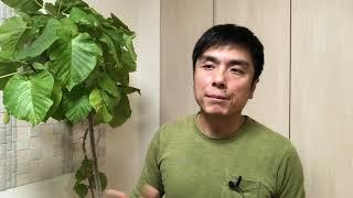 自由职业者5年，聊聊赚钱这个事