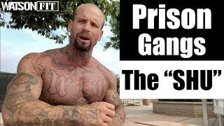 Prison Gangs- The "SHU"