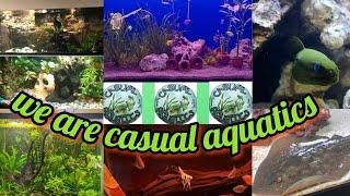 we are casual aquatics | thanks for being a member