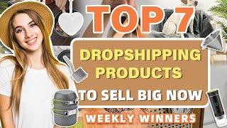 Top 7 Dropshipping Products to Sell Big Now | Weekly Winners