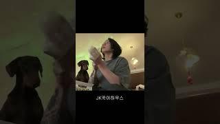" 무슨일이야 "  정국이 당황 모음 /꾹이둥절 3종세트 #정국 #jungkook #bts #btsarmy