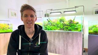 Aquascape Updates + NEW Setup by MD Fish Tanks, Low Tech System at Aquarium Gardens!