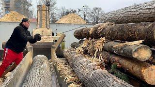 Hour of production of wood chips.