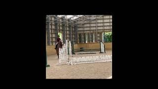 Please dm the quality and my atrocious eq ️