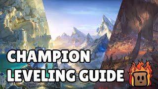 Champion Leveling Guide