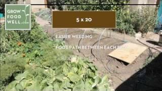 Organic Gardening 101