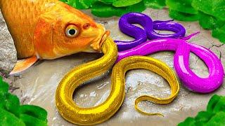 Funny Cartoon Rainbow Fish, Colorful Eel Lego Fish | ASMR MUKBANG lobster, Golden Egg, spicy noodles