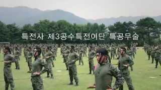 Korean Special Forces Tae Kwon Do Demo