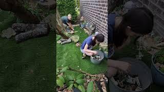 Fairy Garden Build | #creativegarden #greenthumb