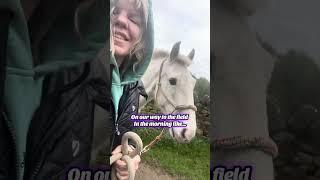 Equestrian mornings be like… on our way to turnout #yardlife #equestrian vlog trian