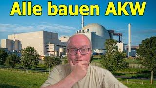 Alle anderen bauen Atomkraftwerke nur wir nicht