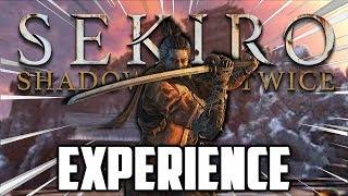 THE SEKIRO EXPERIENCE