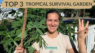 3 Tropical Survival Foods You Must Plant in Florida